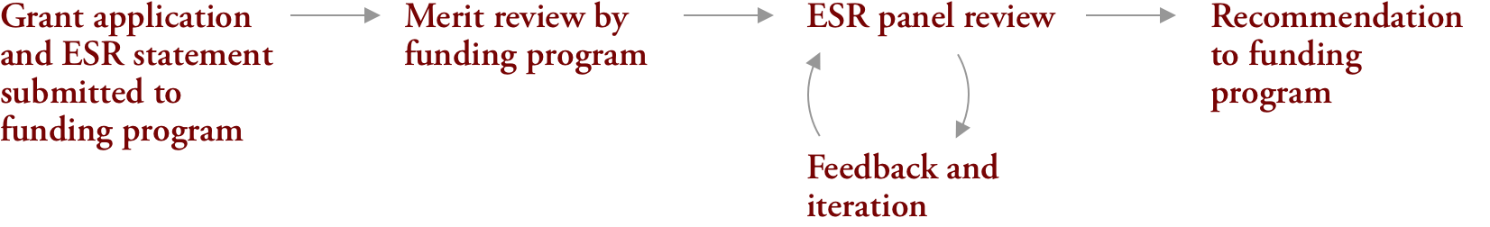Diagram of ESR flow: Grant application and ESR statement submitted to funding program. Leads to Merit review by funding program. Leads to ESR panel review. Goes in a loop with Feedback and iteration. Then leads to Recommendation to funding program.